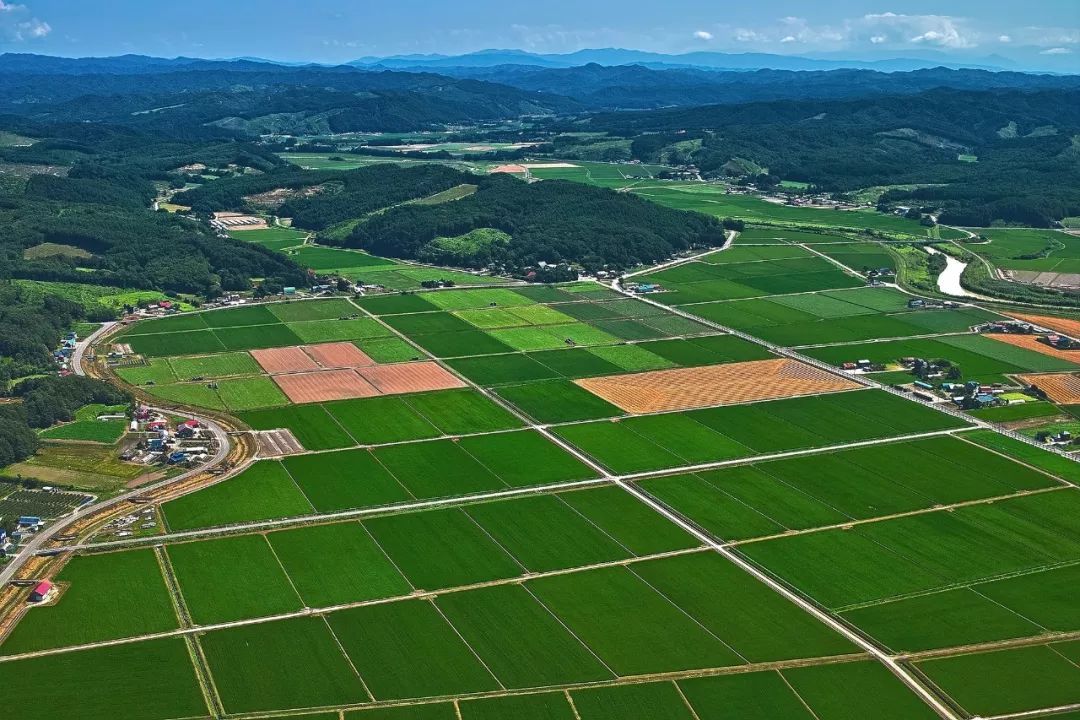 中國(guó)土地利用質(zhì)量顯著提升，助力經(jīng)濟(jì)高質(zhì)量發(fā)展